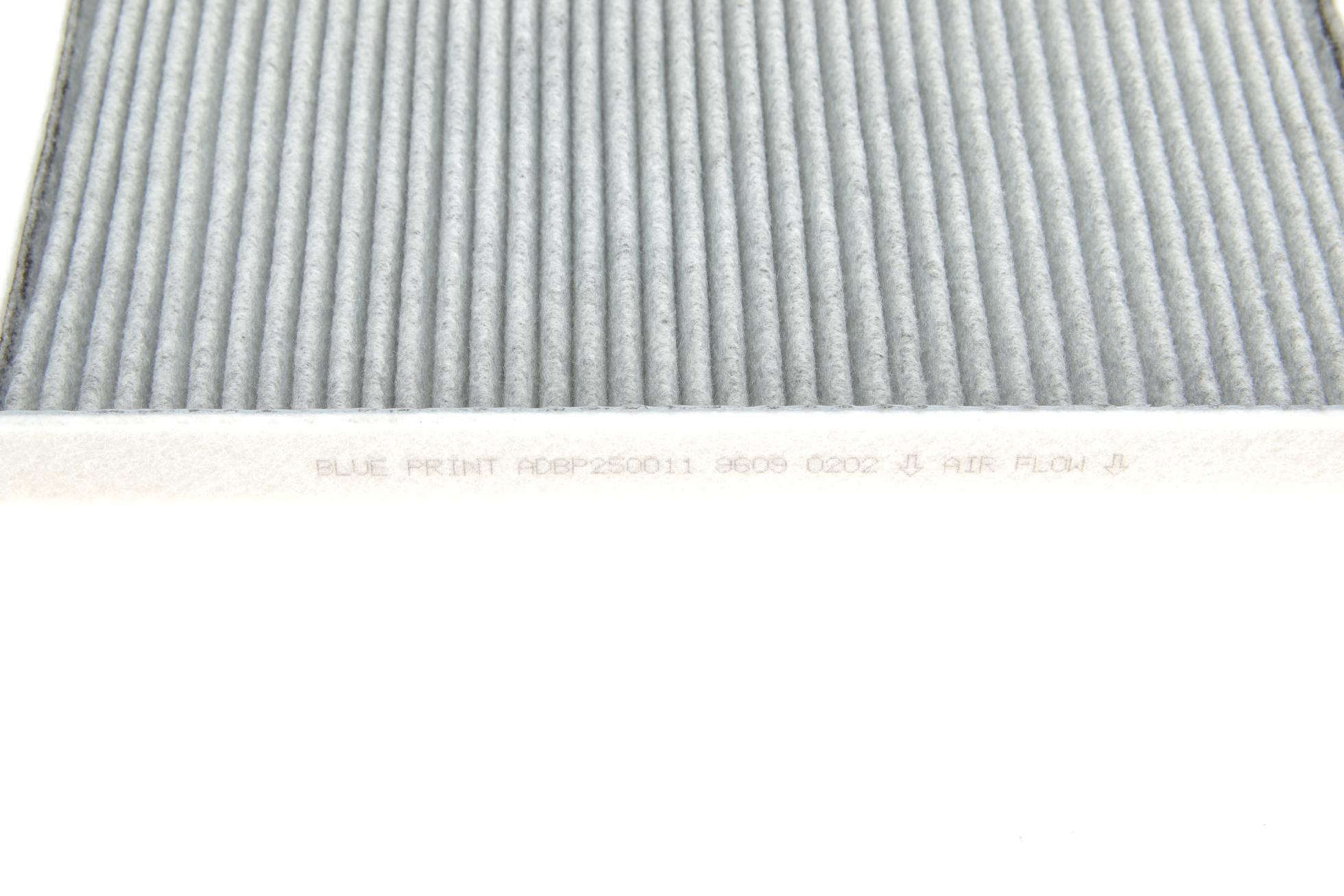 ADBP250011 BLUE PRINT